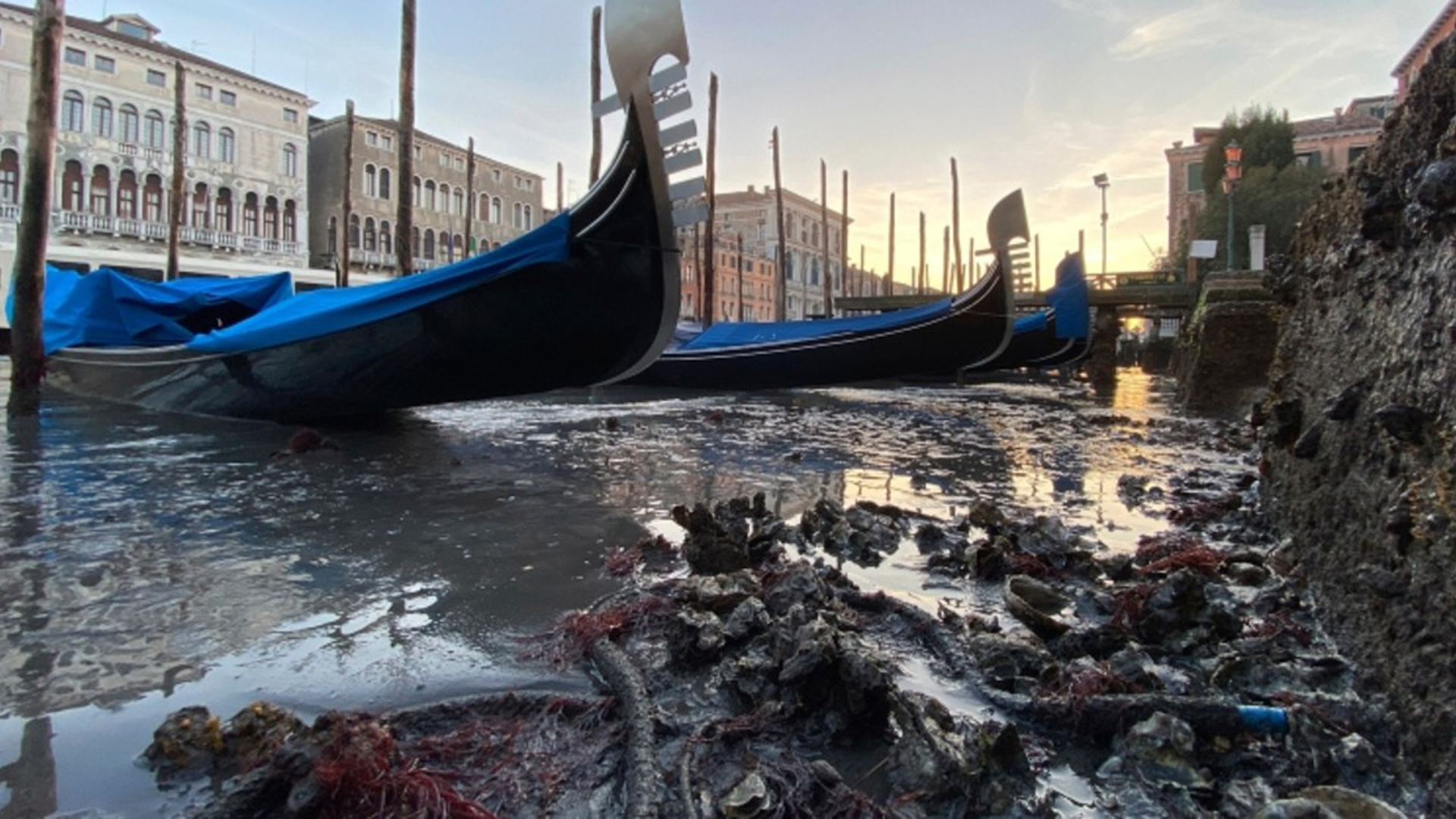 Venice drying up