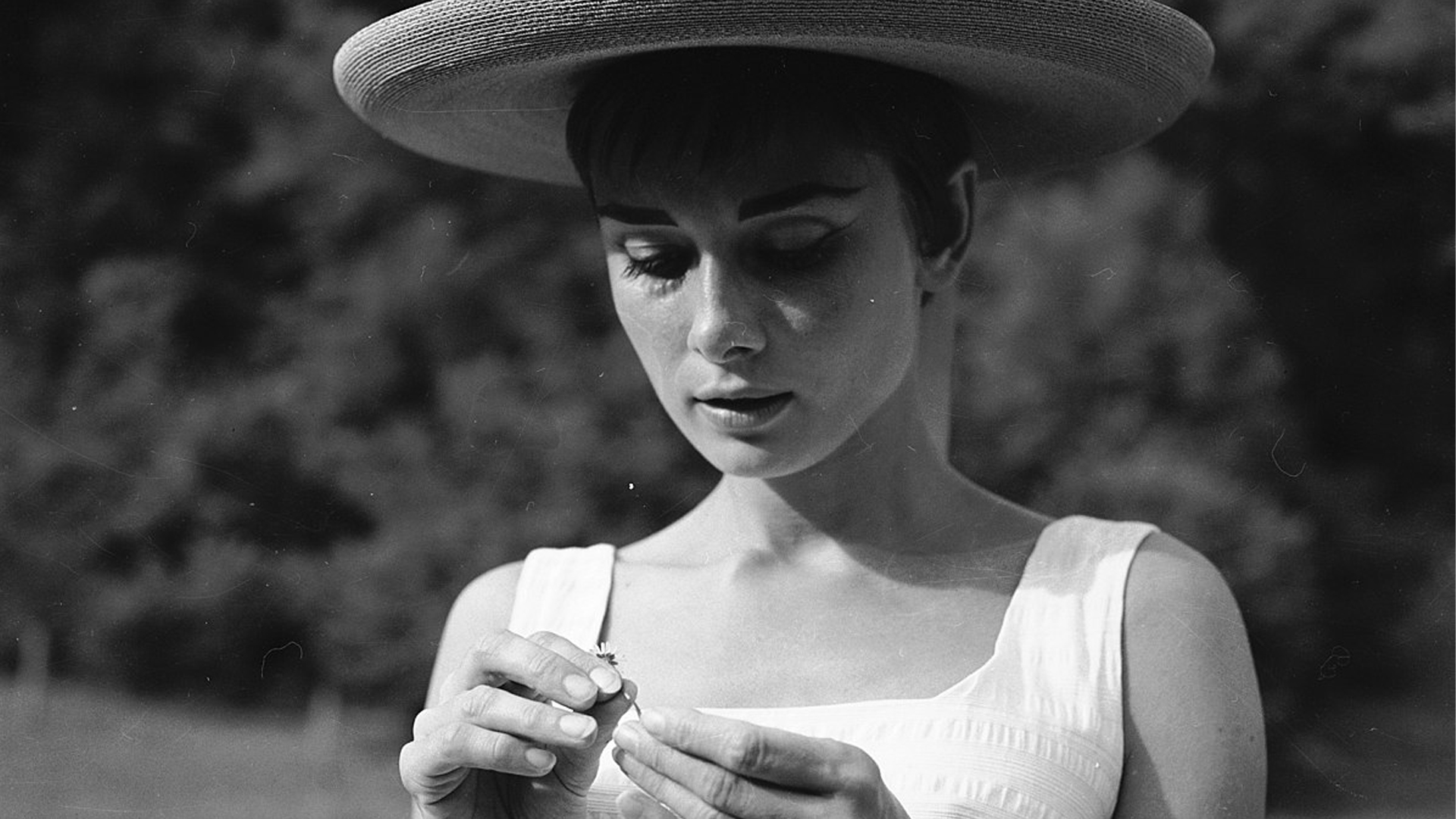 Audrey Hepburn in 1953: Intimate Photos of a Star at Home